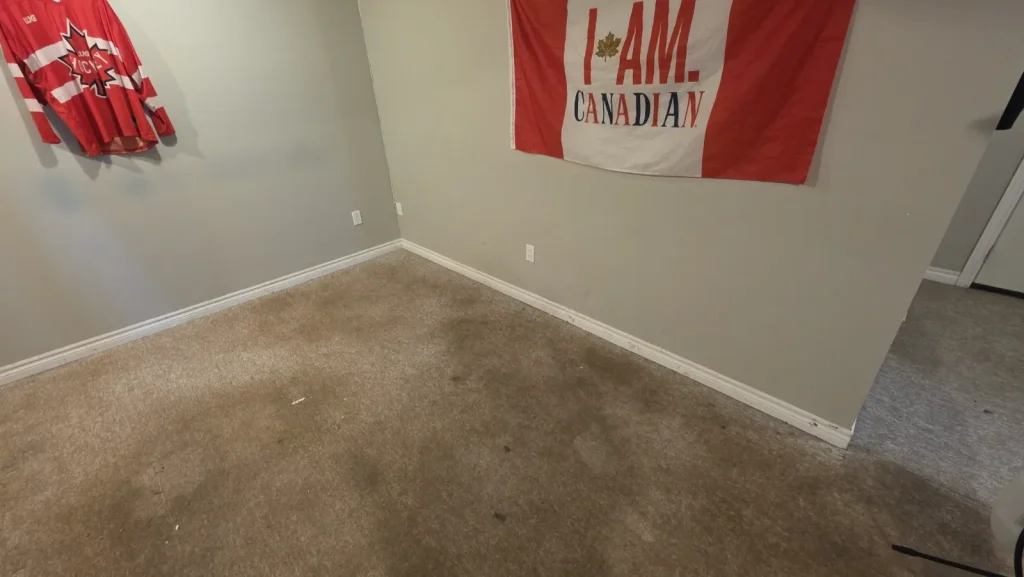 True Steam carpet cleaning job in progress
