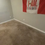 True Steam carpet cleaning job in progress