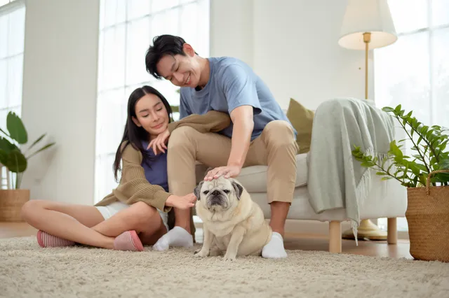 Couple and pet dog relaxing on a clean carpet